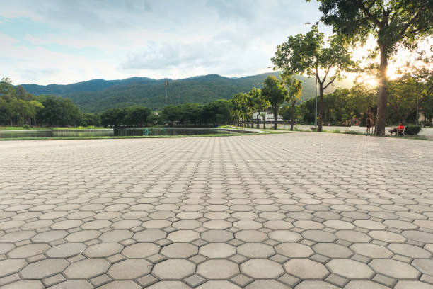Best Permeable Paver Driveway  in Genoa, IL